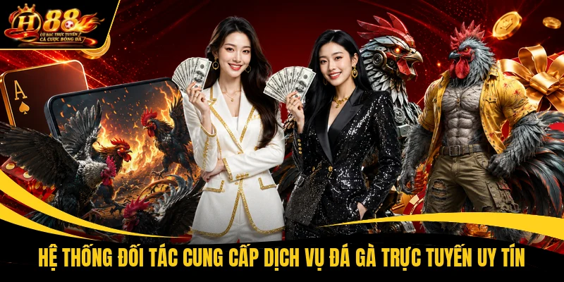 he thong doi tac cung cap dich vu da ga truc tuyen uy tin Hệ thống đối tác cung cấp dịch vụ đá gà trực tuyến uy tín